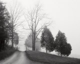 Tennessee Morning Art Print