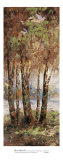 Buy River Birch II at AllPosters.com