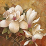 Buy Sweet Magnolia I at AllPosters.com