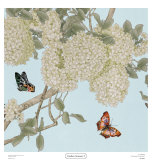 Buy Endless Summer I at AllPosters.com