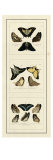 Buy Antique Butterfly Panel I at AllPosters.com