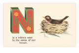 N is a Robin's Nest