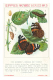Epps's Nature Series, Scarlet Admiral Butterfly