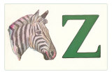 Z, Zebra