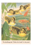 Ducklings Play Follow the Leader
