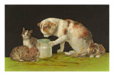 Cat and Kittens Looking at Milk