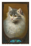Serious Cat