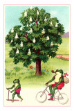 Frogs Passing Horse Chestnut