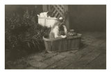 Kittens in Basket
