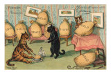 Cats Fortunetelling