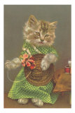 Dressed Kitten with Straw Hat