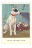 Dog Watches Kittens