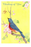 Thinking of You, Birds and Bees