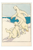 Fun for Polar Bears