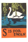 S is for Swan