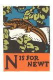 N is for Newt