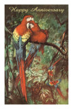 Buy Happy Anniversary, Preening Macaws at AllPosters.com