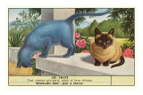 Exotic Cats