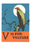 V is for Vulture