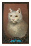 White Cat