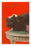Je Porte Bonheur, Black Cat