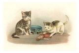 Two Kittens with Doll