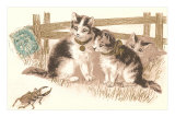 Cats Watching Beetle