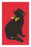 Black Cat Graphic