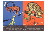 Ibex and Jaguar