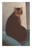 Cat with Small Head