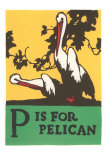 P is for Pelican