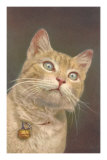 Cat with Bell