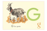 G is for Goat