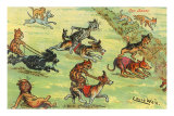 Cats in Steeplechase