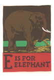 E is for Elephant