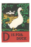 D is for Duck