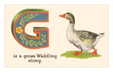 G is a Goose
