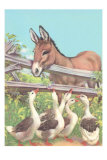 Buy Burro Talking to Geese at AllPosters.com