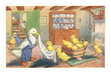 Bath Day for Ducklings