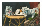 Kitten Tea Party