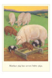 Mother Pig Has Piglets