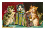 Kittens Playing Concertina
