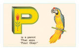 P is a Parrot