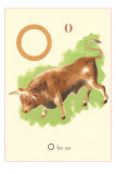 Buy O is for Ox at AllPosters.com