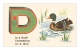 D is a Duck
