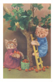 Dressed Kittens Picking Fruit