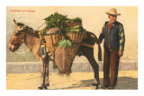 Vegetable Seller with Donkey, Italy