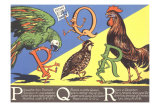 Parrot, Quail and Rooster