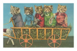 Dressed Kittens Go for a Hayride