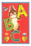 ABC, Rabbit